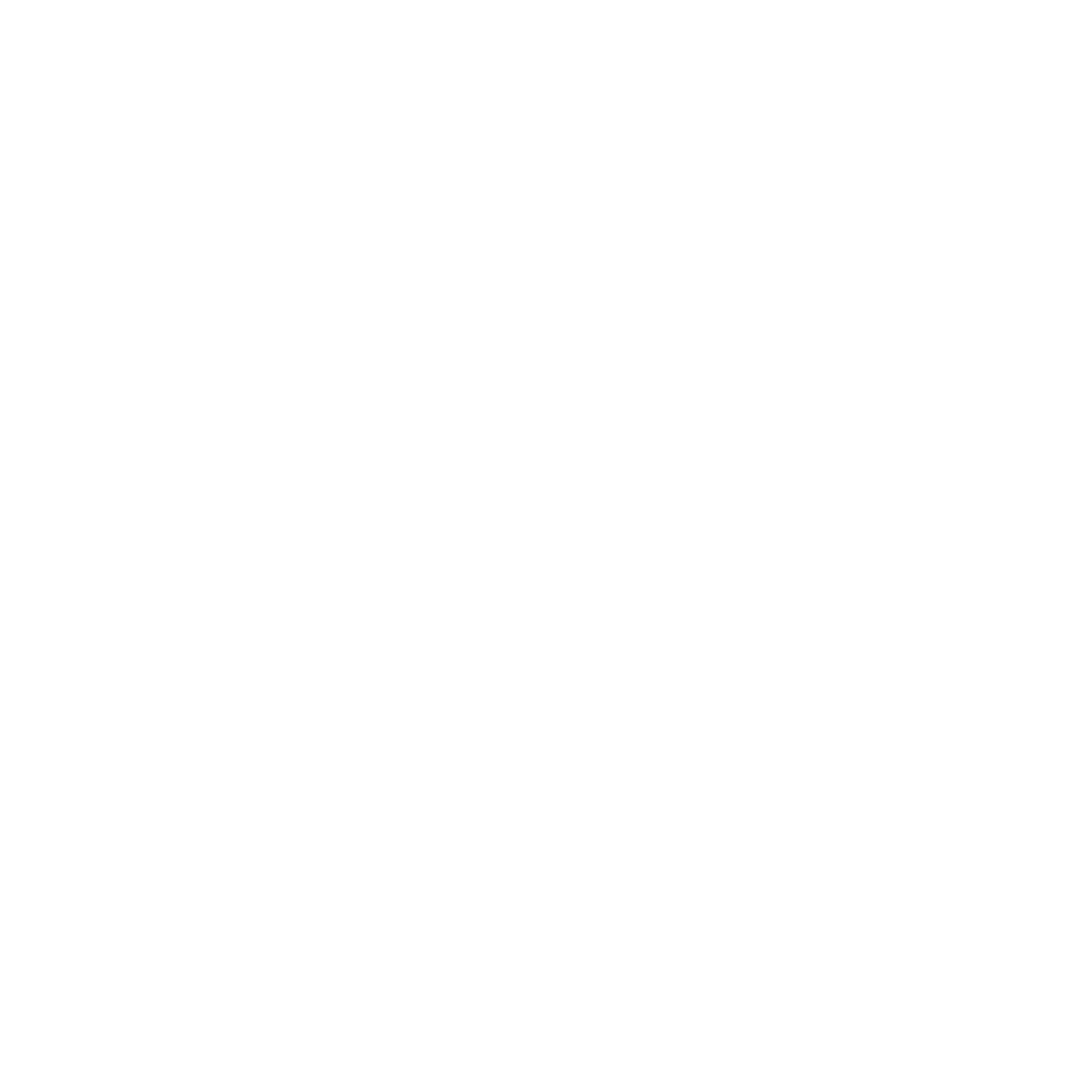 Porsche — Paint Protection Film